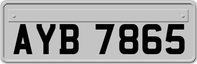 AYB7865