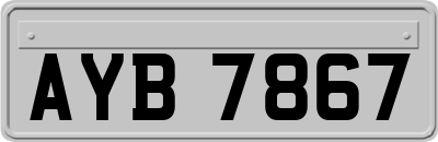 AYB7867