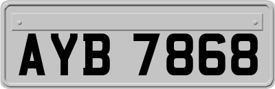 AYB7868