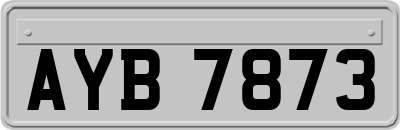 AYB7873