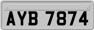 AYB7874