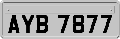 AYB7877