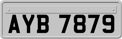 AYB7879