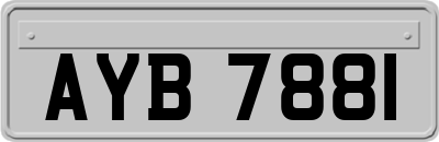 AYB7881