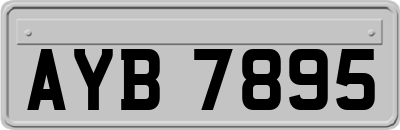 AYB7895