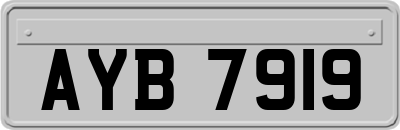AYB7919