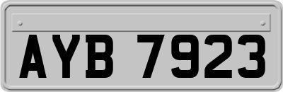 AYB7923