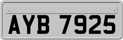 AYB7925