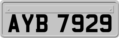 AYB7929