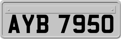 AYB7950