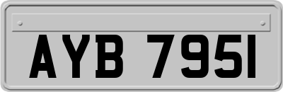 AYB7951