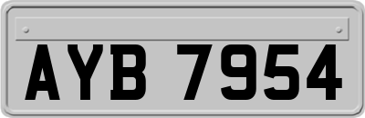 AYB7954
