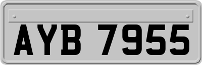 AYB7955