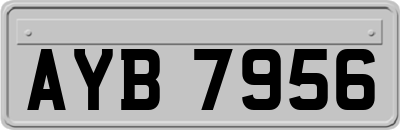 AYB7956