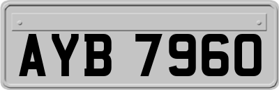 AYB7960
