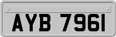 AYB7961