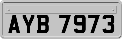 AYB7973