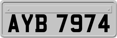 AYB7974