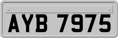 AYB7975