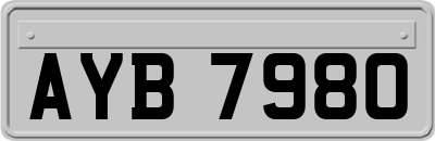 AYB7980