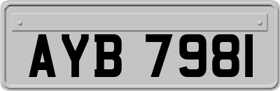 AYB7981