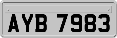AYB7983