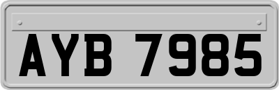 AYB7985