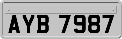 AYB7987