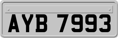 AYB7993