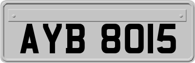 AYB8015