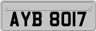 AYB8017