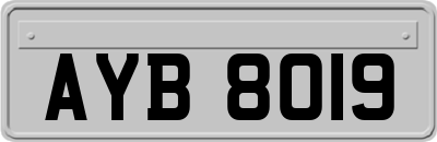 AYB8019