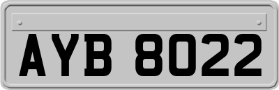 AYB8022