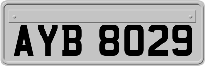 AYB8029