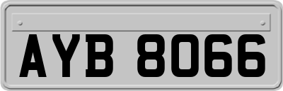 AYB8066