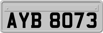 AYB8073
