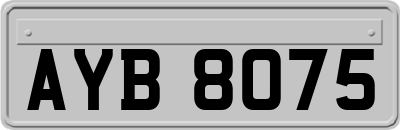 AYB8075