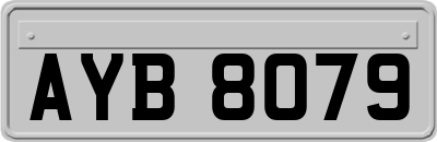 AYB8079