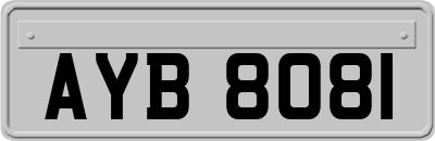 AYB8081