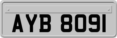 AYB8091