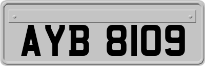 AYB8109