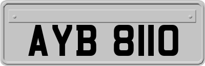 AYB8110