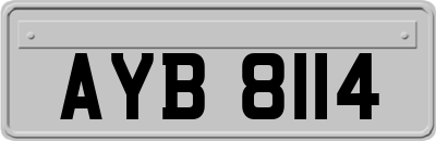 AYB8114