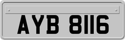 AYB8116