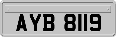 AYB8119