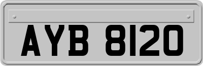 AYB8120