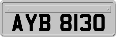 AYB8130