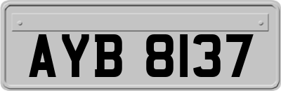AYB8137