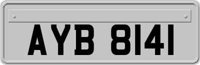 AYB8141