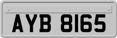 AYB8165